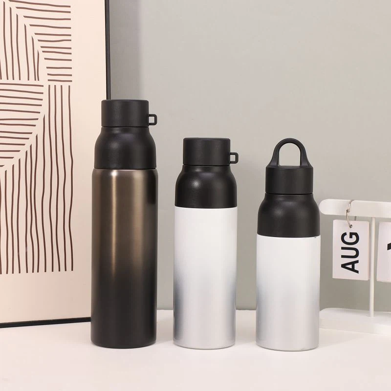 Stainless Steel Water Bottle With Push Lid And Handle
